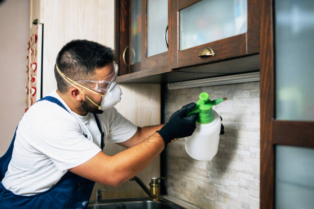 Best Pest Removal Services  in Borden, IN