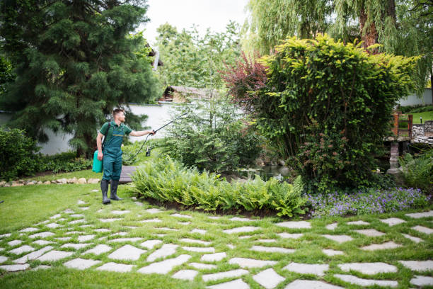 Trusted Borden, IN Pest Control Experts