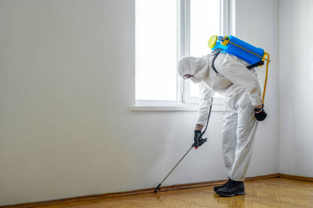Best Mosquito Control Services  in Borden, IN