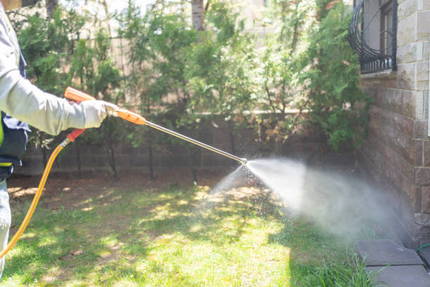 Best Pest Control Treatment  in Borden, IN