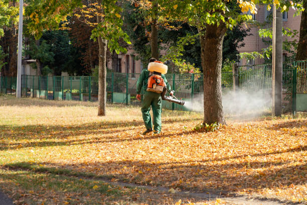 Best Local Pest Control Services  in Borden, IN