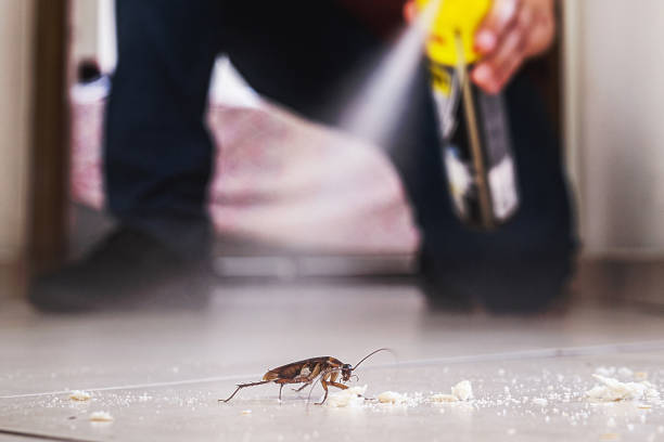 Best Bed Bug Extermination  in Borden, IN
