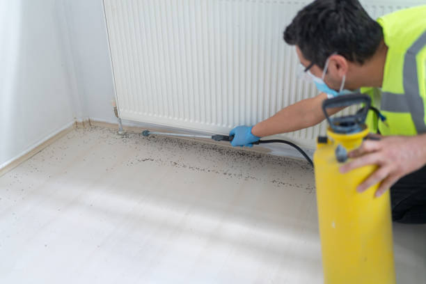 Best Exterminator Services  in Borden, IN