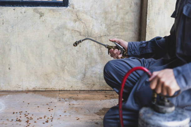 Best Affordable Pest Control Services  in Borden, IN