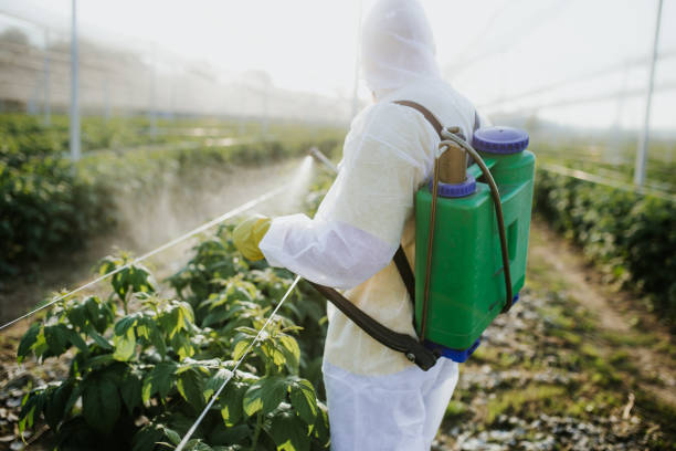 Best Residential Pest Control  in Borden, IN